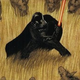 Star Wars: Empire #14, by Dave Land and Raúl Treviño